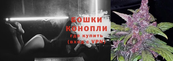 мдпв Туринск