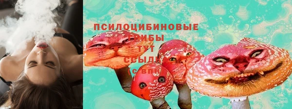 прущий лед Алзамай