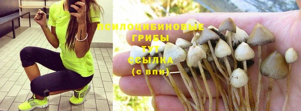 2c-b Алексеевка