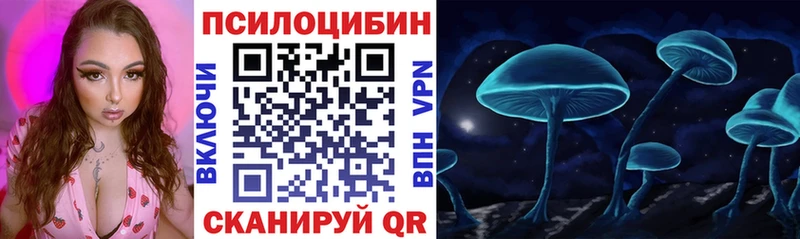 Галлюциногенные грибы мухоморы  где продают наркотики  Нижнекамск 