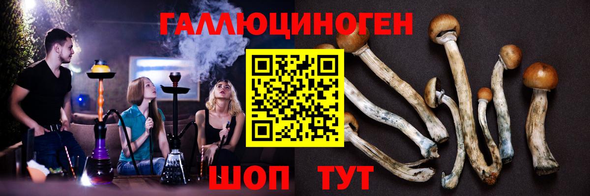 хочу наркоту  Вход с VPN  Нижнекамск  Галлюциногенные грибы Psilocybine cubensis 